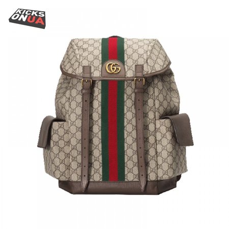 Gucci Ophidia Gg Backpack - GBP107