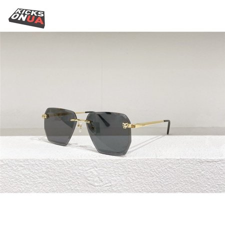cartier CT0213 Sunglasses